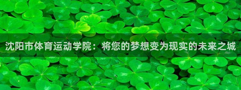 凯发官方正版app集团官网首页:沈阳市体育运动学院:将您的梦