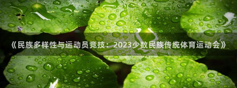 凯发官网下载招商电话地址查询:《民族多样性与运动员竞技:20